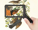 86556_levenhuk-ergo-40-digital-magnifier_01