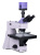 Микроскоп металлографический цифровой MAGUS Metal D650 BD