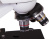 Микроскоп Bresser Erudit Basic 40–400x магазин Observer-msk.ru