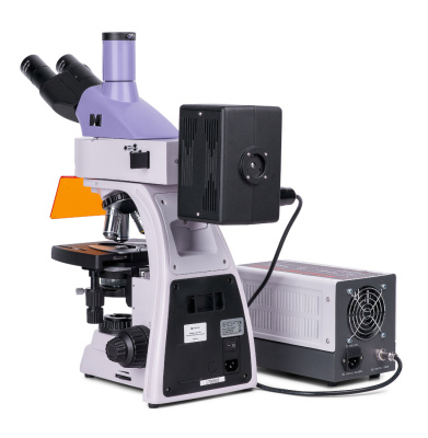 Микроскоп люминесцентный цифровой MAGUS Lum D400