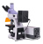 Микроскоп люминесцентный цифровой MAGUS Lum D400