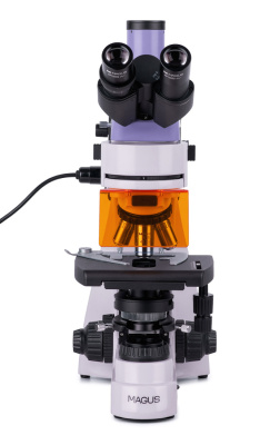 Микроскоп люминесцентный цифровой MAGUS Lum D400