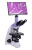 Микроскоп биологический цифровой MAGUS Bio D250TL LCD
