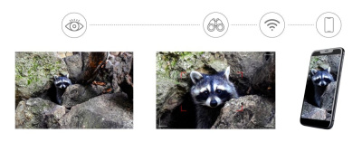 Фотобинокль цифровой Levenhuk Kelvin Snap ED 8x42