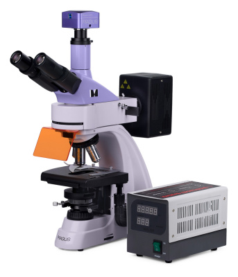 Микроскоп люминесцентный цифровой MAGUS Lum D400