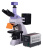 Микроскоп люминесцентный цифровой MAGUS Lum D400
