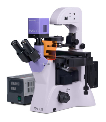Микроскоп люминесцентный инвертированный цифровой MAGUS Lum VD500