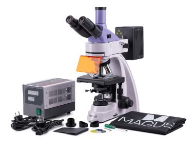 Микроскоп люминесцентный цифровой MAGUS Lum D400