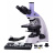 Микроскоп биологический цифровой MAGUS Bio D230TL