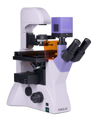 Микроскоп люминесцентный инвертированный цифровой MAGUS Lum VD500L