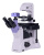 Микроскоп биологический инвертированный цифровой MAGUS Bio VD350