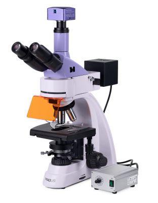 Микроскоп люминесцентный цифровой MAGUS Lum D400L
