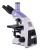 Микроскоп биологический цифровой MAGUS Bio D250TL