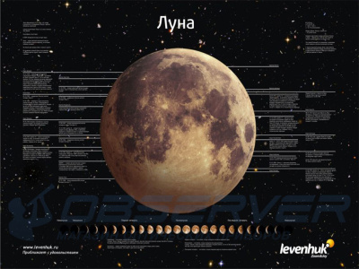 Постер Levenhuk «Луна» магазин Observer-msk.ru