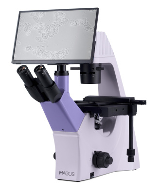 Микроскоп биологический инвертированный цифровой MAGUS Bio VD300 LCD