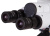 Микроскоп Bresser Erudit Basic 40–400x магазин Observer-msk.ru