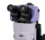 Микроскоп стереоскопический MAGUS Stereo A18T
